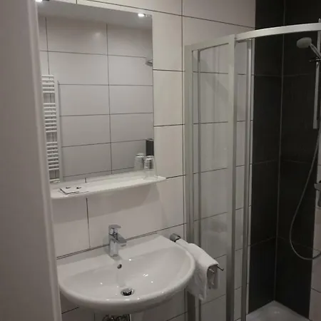 Bed & Breakfast Goesserhof 3*