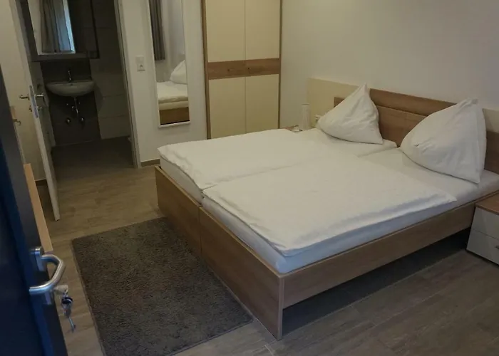 فندق مبيت وإفطار Goesserhof 3*