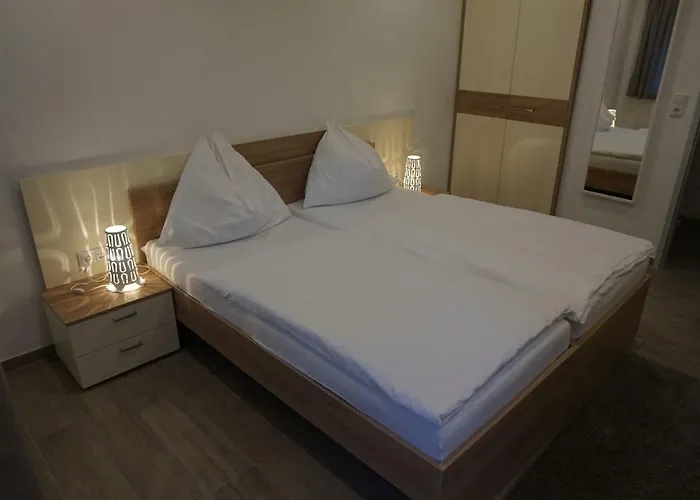 فندق مبيت وإفطار Goesserhof 3*