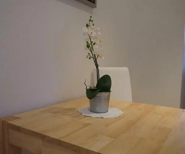 Goesserhof 3* لوبن